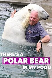 There's A Polar Bear In My Pool!