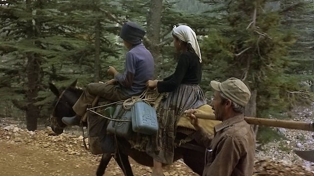 Watch Fatma of the Forest Online