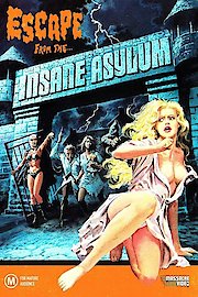 Escape from the Insane Asylum poster