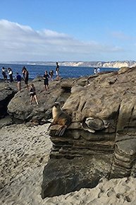 Hiking with Valentine - Beaches at San Diego