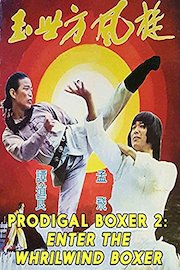 Prodigal Boxer 2: Enter The Whirlwind Boxer poster
