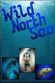 Wild North Sea: Footage Never Seen Before