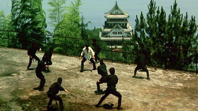 Watch Which Is Stronger Karate Or Tiger Online