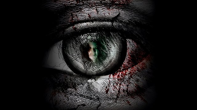 Watch The Second Sight Online