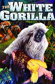 White Gorilla