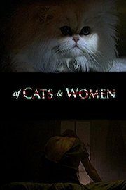 Of cats and women poster