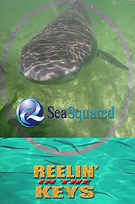 S2E9 Sea Squared Charters