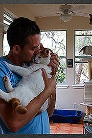 Cat Parents - A Catumentary