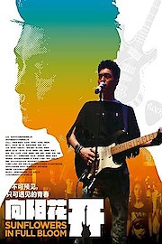 Sunflowers In Full Bloom poster