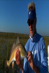 Addictive Fishing (Season 13) - Brunswick Stew