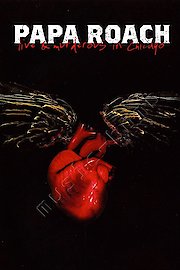 Live And Murderous In Chicago poster