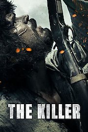 O Matador poster