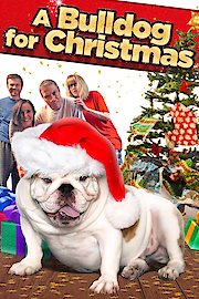 A Bulldog for Christmas