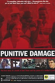 Punitive Damage (Home Use)