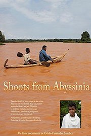 Shoots from Abyssinia poster