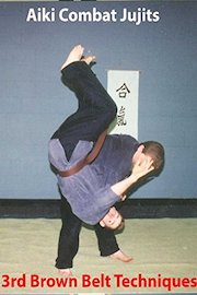 Aiki Combat 3rd Brown Belt