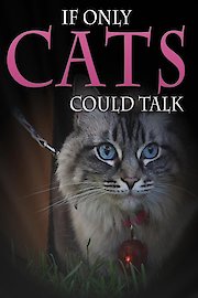 If Only CATS Could Talk