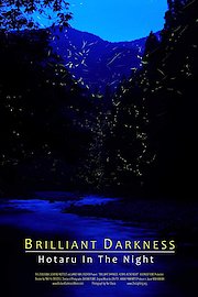 Brilliant Darkness: Hotaru in the Night