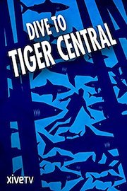 Dive to Tiger Central poster