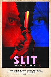 Slit poster