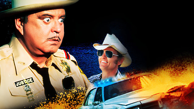 Watch Smokey and the Bandit Part 3 Online