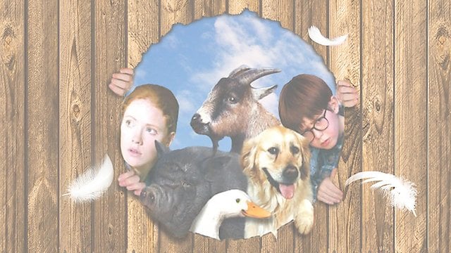 Watch Pets To The Rescue Online
