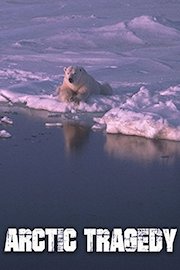 Arctic Tragedy