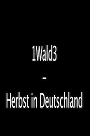 1Wald3 - Herbst in Deutschland