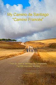 My Camino de Santiago "Camino Francés"