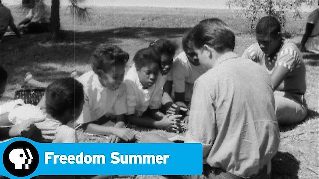 Watch Freedom Summer Online