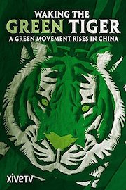 Waking the Green Tiger: A Green Movement Rises in China