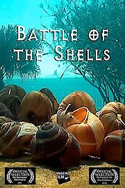 Battle of the Shells