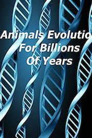 Animals Evolution For Billions Of Years