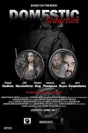Domestic Seduction poster