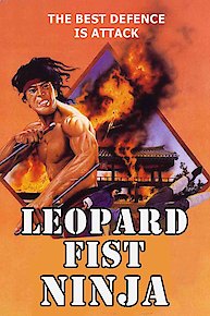 Leopard Fist Ninja