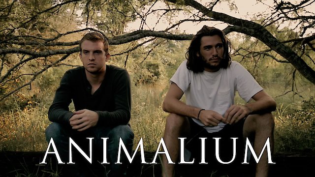 Watch Animalium Online