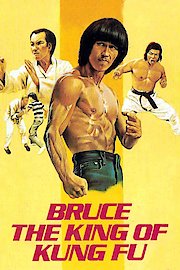 Bruce King Of Kung Fu poster