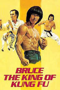 Bruce King Of Kung Fu