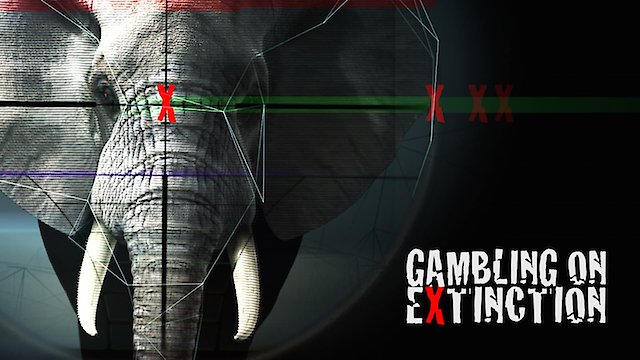 Watch Gambling on Extinction Online