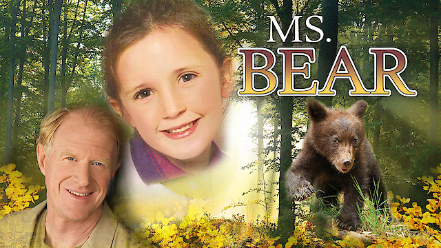 Watch Ms. Bear Online