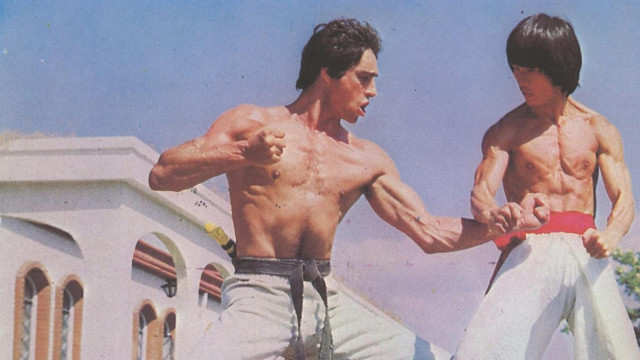 Watch Bruce's Fist of Vengeance Online