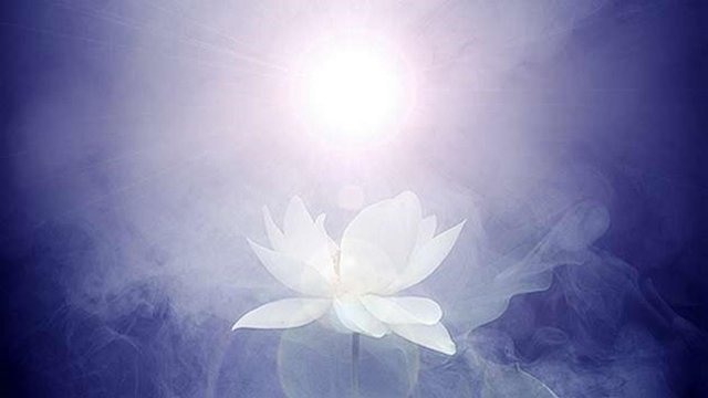 Watch A Course in Miracles The Movie: Special Edition Online