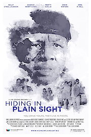 Hiding In Plain Sight poster