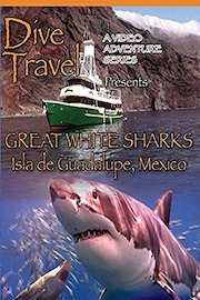 Dive Travel Great White Sharks Isla de Guadalupe, Mexico poster