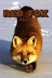 Red Fox: Part 1 poster