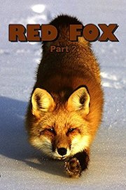 Red Fox: Part 2 poster