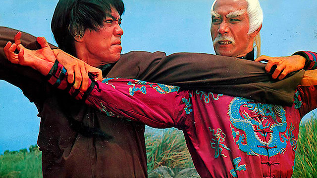 Watch 10 Brothers Of Shaolin Online