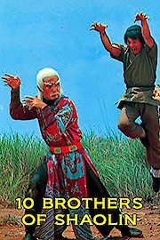 10 Brothers Of Shaolin poster