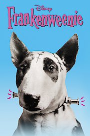 Frankenweenie poster