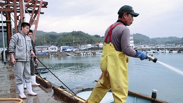 Watch Oyster Factory Online